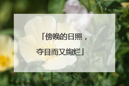 傍晚的日照，夺目而又绚烂